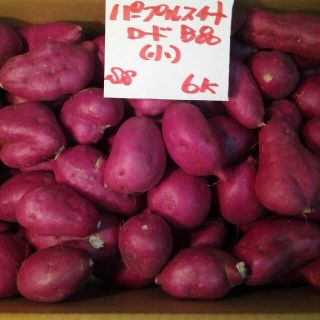 超お得‼　訳あり☆限定品☆新芋ほくほく甘いパープルスイートＢ品(小)６Ｋです(野菜)