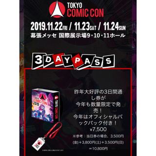 【ひな様専用】コミコン2019 チケット(3DAYSPASS)(その他)