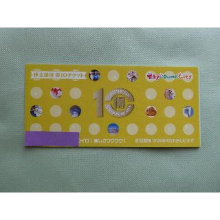 【３冊分】東京ドーム株主優待券　得10チケット　(その他)