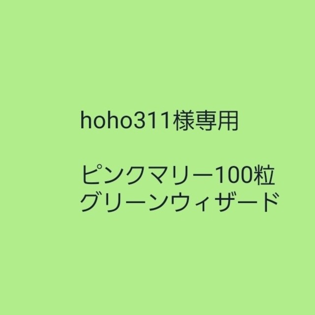 hoho311様専用【フレンチマリーゴールド】ローズピンク　種子30粒 ハンドメイドのフラワー/ガーデン(その他)の商品写真