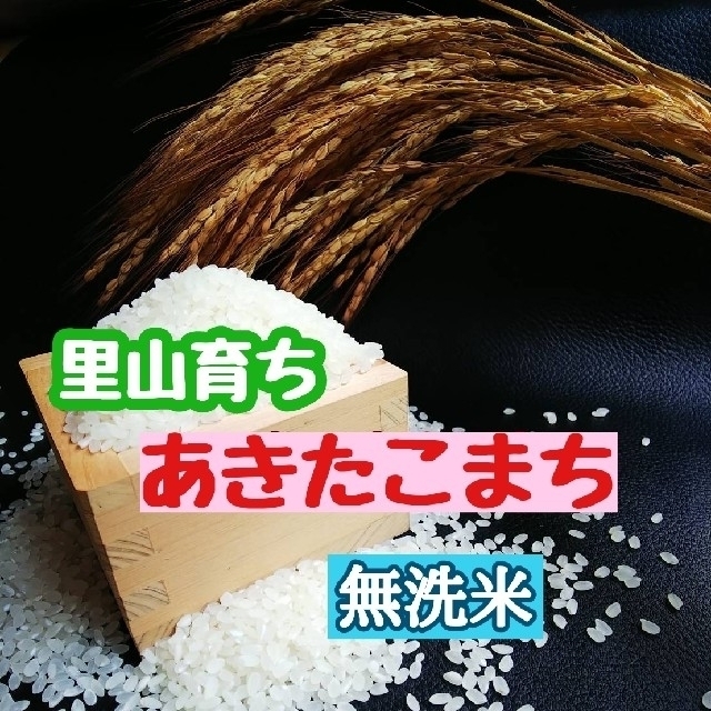 里山育ち あきたこまち10㎏(令和元年産)無洗米 - 米/穀物