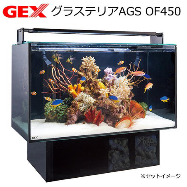 オーバーフロー水槽 GEXグラステリアAGS450 熱帯魚 海水魚 - アクアリウム