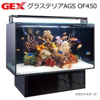 オーバーフロー水槽 Gexグラステリアags450 熱帯魚 海水魚の通販 By 桃色サンゴ商会 ラクマ