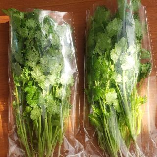 hono様専用(野菜)