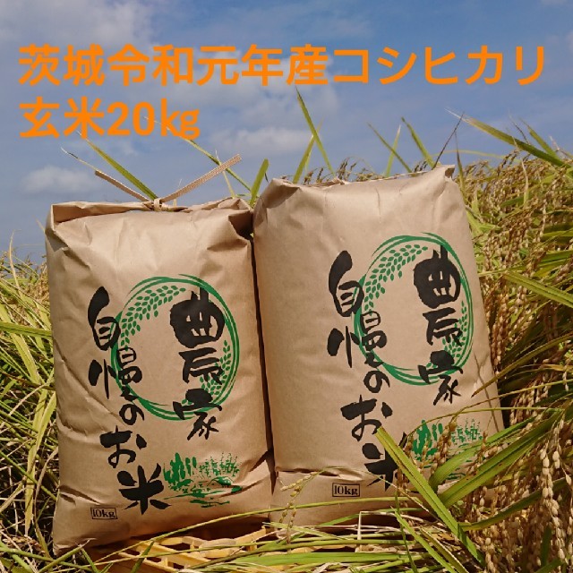 茨城令和元年産新米コシヒカリ玄米20㎏食品