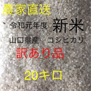 令和元年　新米20キロ　訳あり品