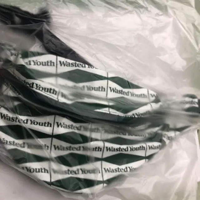 wasted youth ploomtech pouch