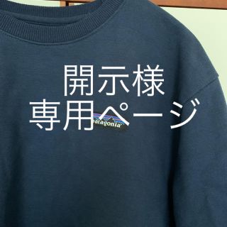 パタゴニア(patagonia)のPatagonia パタゴニア　スウェット(スウェット)