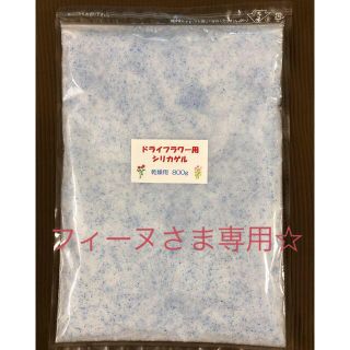 フィーヌさま専用☆ ドライフラワー用シリカゲル 800g(ドライフラワー)