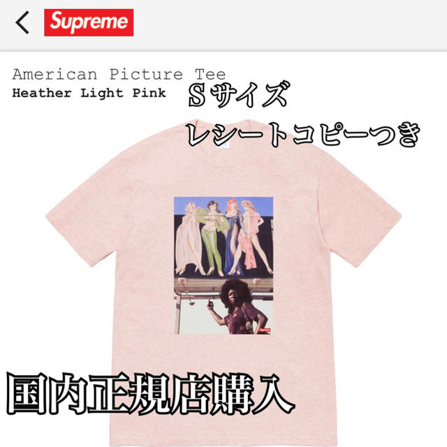 Tシャツ/カットソー(半袖/袖なし)supreme新品未使用 Americanpicture tee pinkピンク