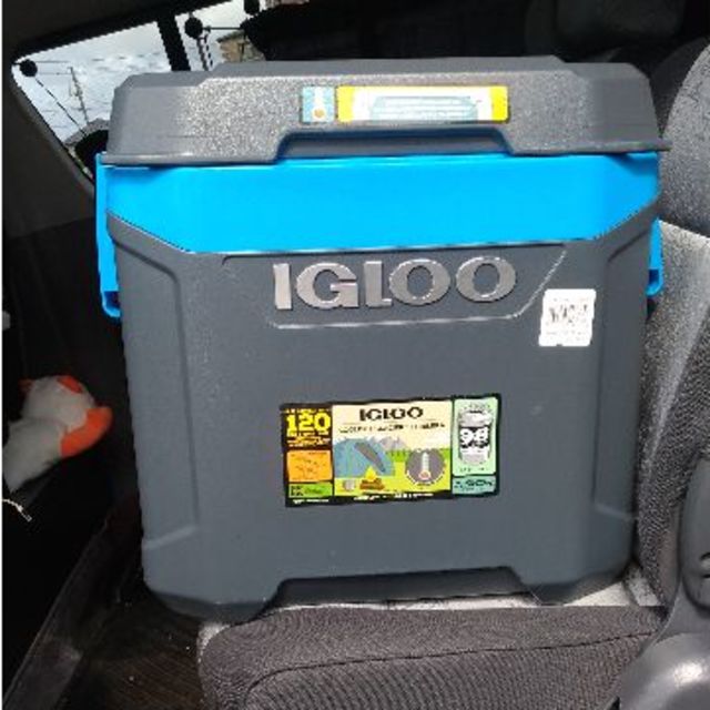 イグルー クーラーボックス マックスコールド IGLOO MAXCOLD62QT