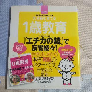 天才脳を育てる1歳教育(住まい/暮らし/子育て)