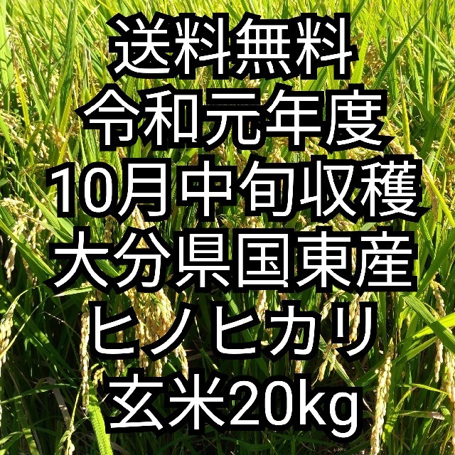 大分県産無農薬玄米20キロ