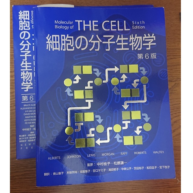 THE CELL 細胞の分子生物学 第6版