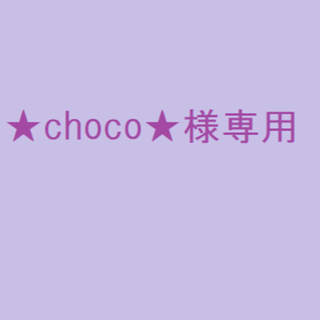 プラス(PLUS)の★choco★様専用　ファイルリフィル(ファイル/バインダー)