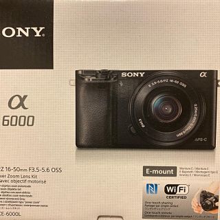 ソニー(SONY)のhidemasaさん専用　SONY ソニー α6000 一眼レフ　ミラーレス　(ミラーレス一眼)