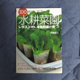 100円グッズで水耕菜園(ビジネス/経済)