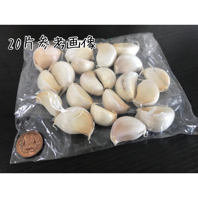 数量20片 そろそろ販売終了！ニンニク　種球　ホワイト種 発芽確率９０％以上 食品/飲料/酒の食品(野菜)の商品写真