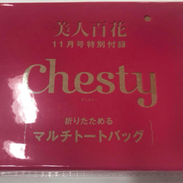 Chesty(チェスティ)の美人百花 付録 レディースのファッション小物(ポーチ)の商品写真