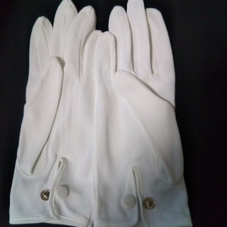 東レ、ナイロン100%素材 白手袋（金属ホック、Lサイズ、23cm）(手袋)