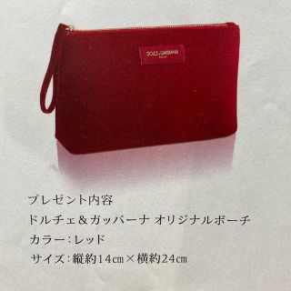 ドルチェアンドガッバーナ(DOLCE&GABBANA)の非売品　ドルチェアンドガッパーナ　ポーチ(ポーチ)