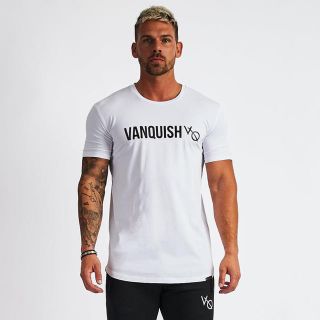 ヴァンキッシュ(VANQUISH)の新作 Vanquish Fitness Tシャツ M(トレーニング用品)