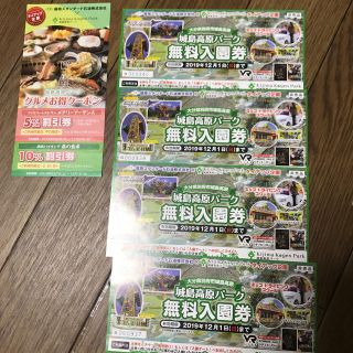 木島高原パーク無料券(遊園地/テーマパーク)