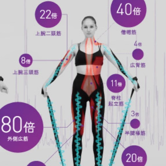 ルルド・シェイプアップボード コスメ/美容 ダイエット エクササイズ