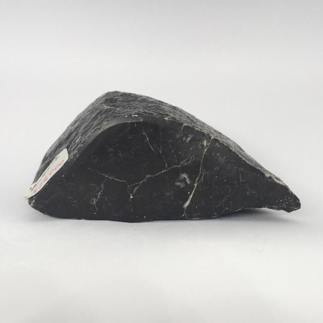 シャーマナイト（ブラックカルサイト）原石  アメリカ産 化石入り 鉱物標本