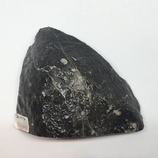 シャーマナイト（ブラックカルサイト）原石 アメリカ産 化石入り 鉱物標本-