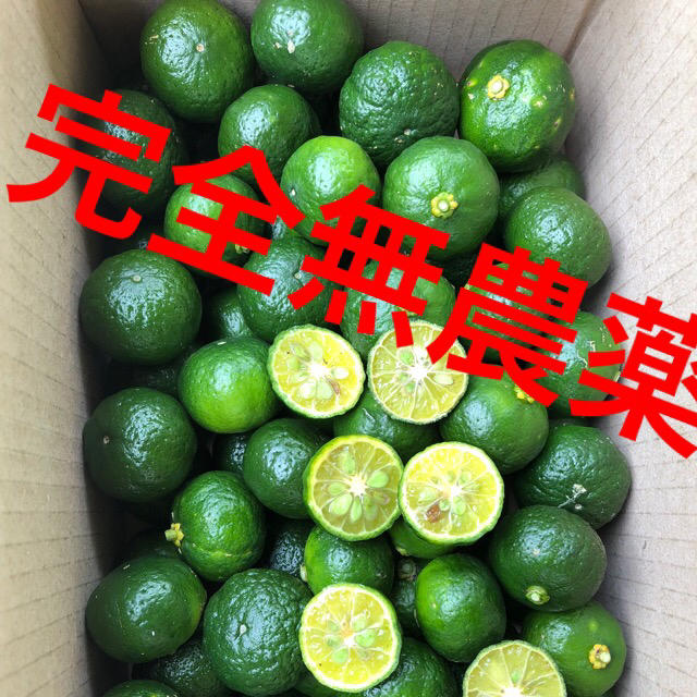 徳之島産無農薬シークワーサー2キロ2500円 食品/飲料/酒の食品(フルーツ)の商品写真