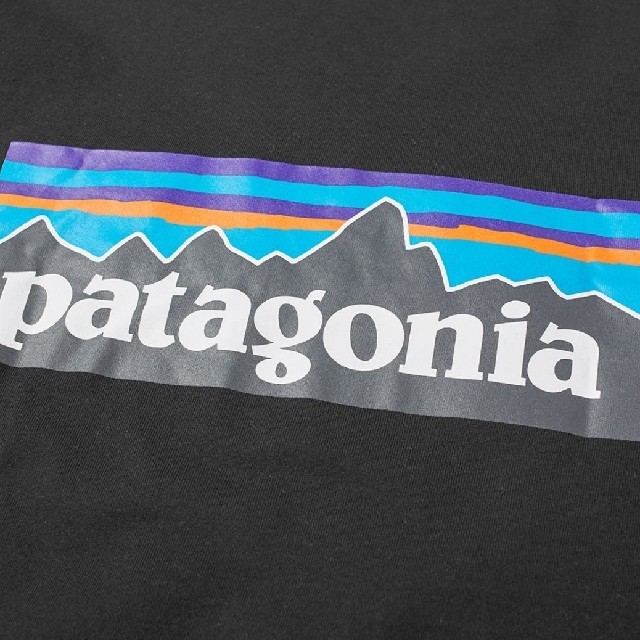 patagonia(パタゴニア)のXSサイズパタゴニア ロングスリーブtシャツ  P-6ロゴ レスポンシビリティー メンズのトップス(Tシャツ/カットソー(七分/長袖))の商品写真