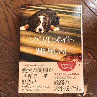 ソウルメイト  愛犬 犬 わんこ 小説(文学/小説)