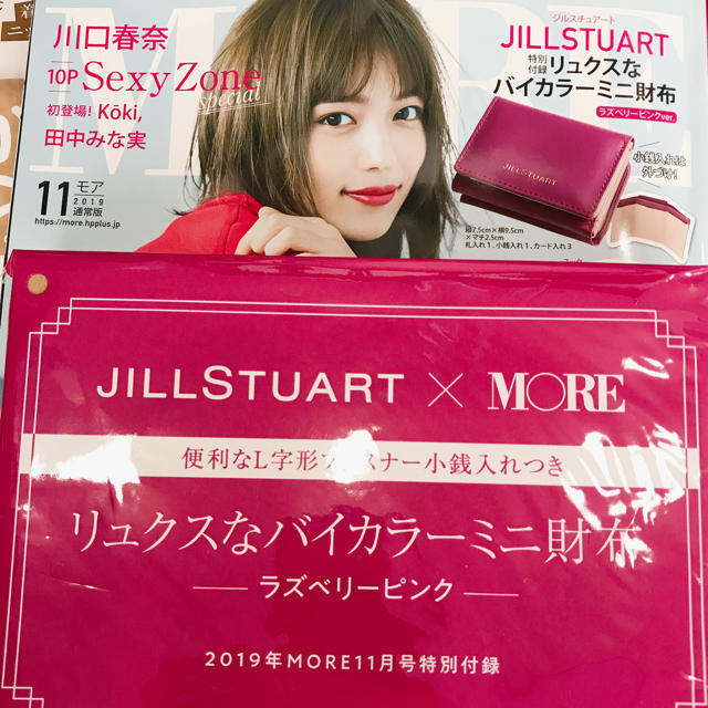 JILLSTUART(ジルスチュアート)のJILLSTUART 付録 財布 レディースのファッション小物(財布)の商品写真