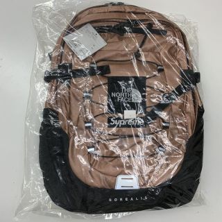 シュプリーム(Supreme)のSupreme THE NORTH FACE  Backpack バックパック(バッグパック/リュック)