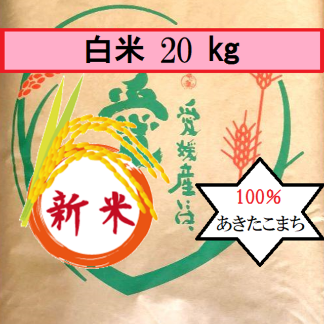 お米 令和元年 愛媛県産あきたこまち 白米 20㎏