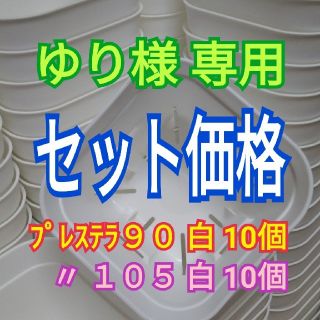 【ゆり様専用】【スリット鉢セット♪】プレステラ90白10個 & 105白10個(プランター)