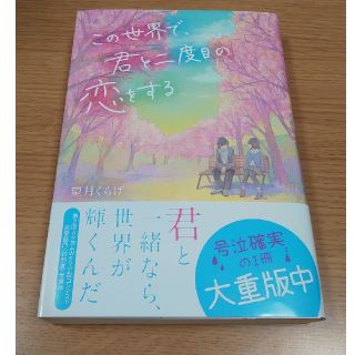 この世界で、君と二度目の恋をする(文学/小説)