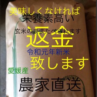 令和元年最高級　新米純　こしひかり　10㎏ 玄米　有機栽培(米/穀物)