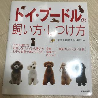 トイ・プードルの飼い方・しつけ方(住まい/暮らし/子育て)