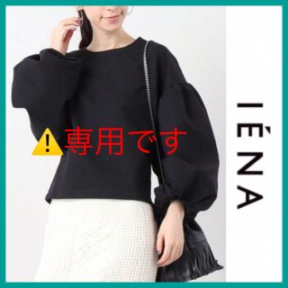 イエナ(IENA)の⚠️パンダ様専用です❗️(カットソー(長袖/七分))