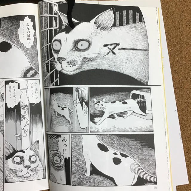 伊藤潤二の猫日記 よん むーの通販 By Punka Punka ラクマ