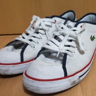 ラコステ(LACOSTE)のLACOSTE　シューズ(スニーカー)