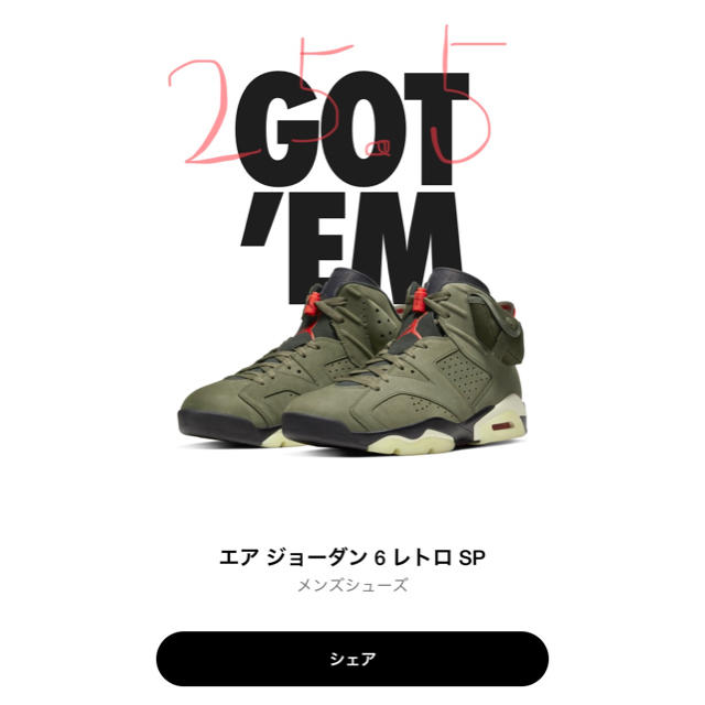 TRAVIS SCOTT x NIKE AIR JORDAN 6 Olive   スニーカー