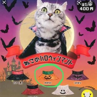 ねこのハロウィンマント かぼちゃ(猫)