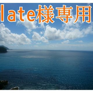 「late様専用❗」無農薬❗シルクスィート 長崎県五島列島より(野菜)