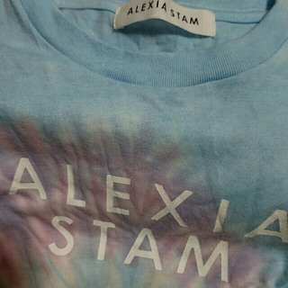 アリシアスタン(ALEXIA STAM)のアリシアスタンTシャツ(Tシャツ(半袖/袖なし))