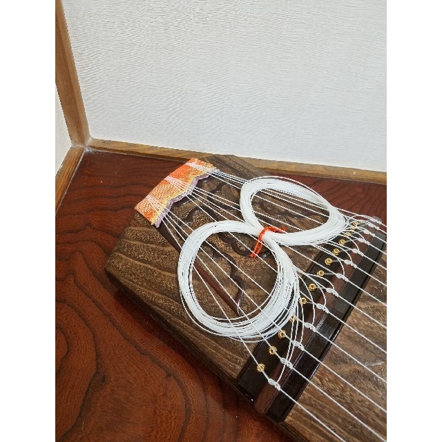 十三弦琴　クリ甲 楽器の和楽器(その他)の商品写真
