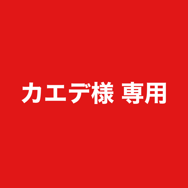 専用コーセー　アイカラーコレクション　02 ヴィセ　02