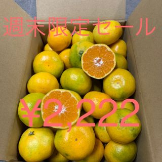 和歌山 極早生みかん 10キ訳あり(フルーツ)